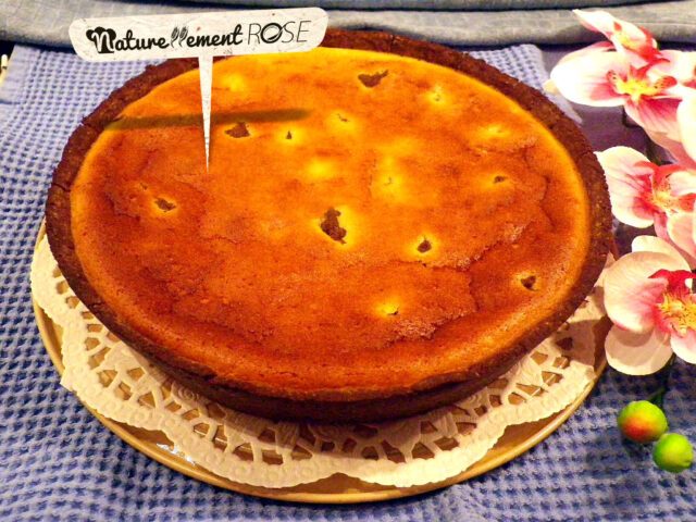 Gateau fromage cacao SGL